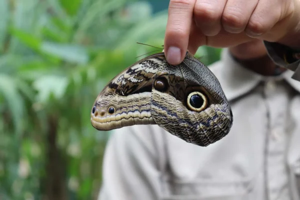 img-2923-1664897348_11zon